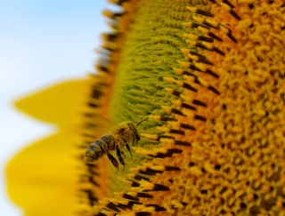 photo/d062e4c8-7545-44bf-a452-e25ff2da6138-3